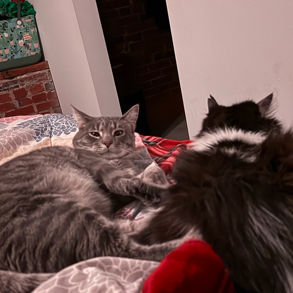 Welcome to my closet! - Picture 3 of 3